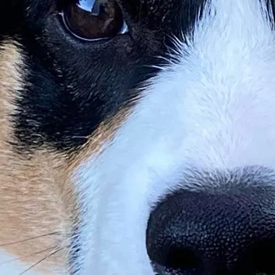 chat with ai character: Bud