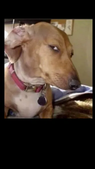 ai character: Do not read this  background