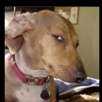 chat with ai character: Do not read this 