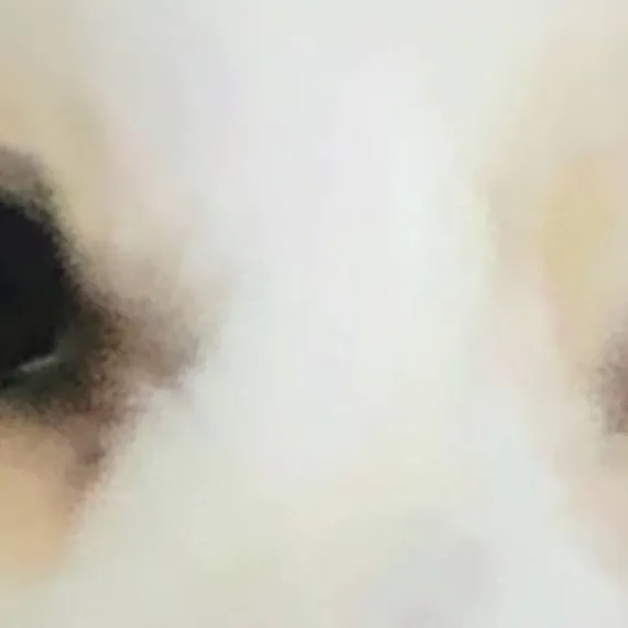 chat with ai character: DOGGY