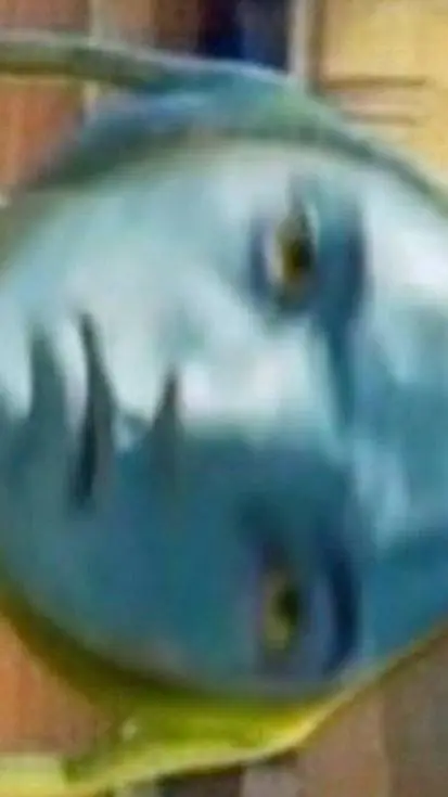 ai character: Mha background