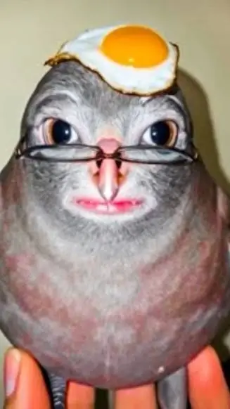 ai character: Pigeon  background