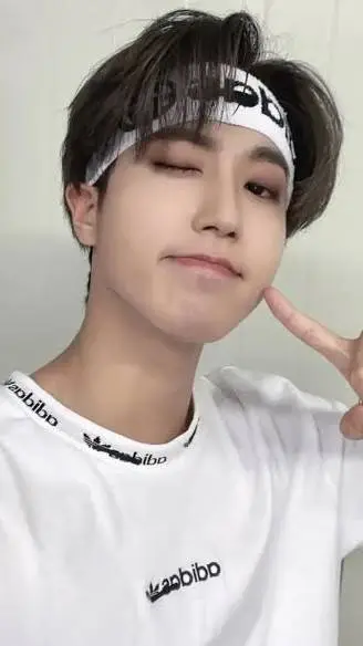 ai character: han jisung background