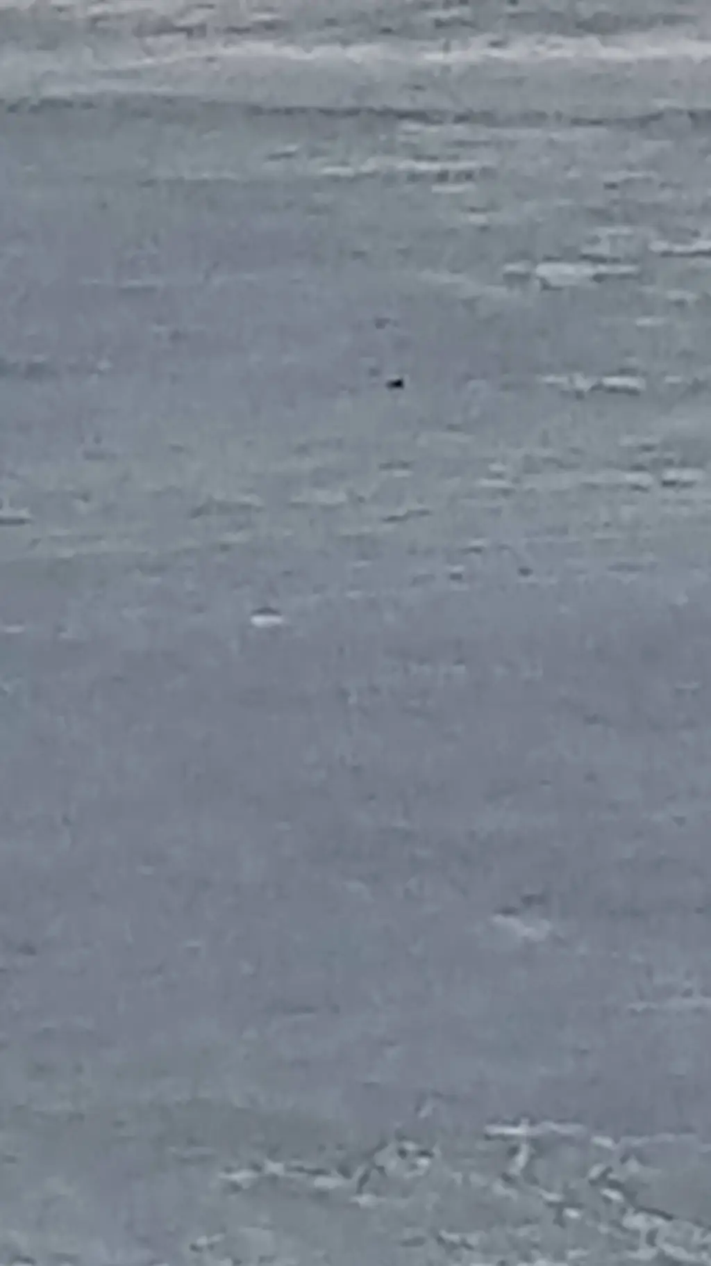 ai character: Eddy/friends  background