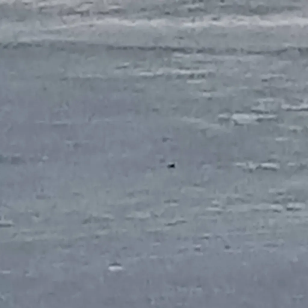 chat with ai character: eddy/bullied