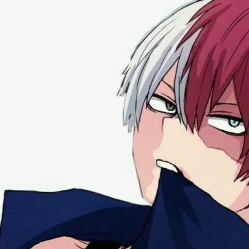 chat with ai character: MHA~Shoto Todoroki