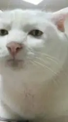 ai character: DW Rp:3 background