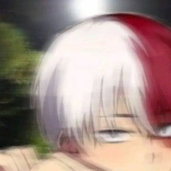 chat with ai character: †★Todoroki★†