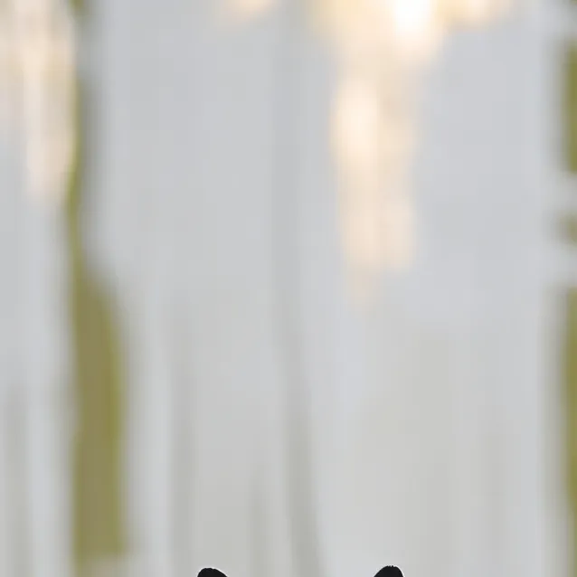 chat with ai character: jumper