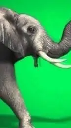 ai character: elphant gren scren background