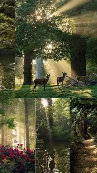 ai character: Safe space background