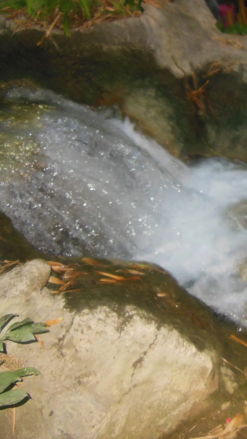 ai character: Water fieldtrip hp background