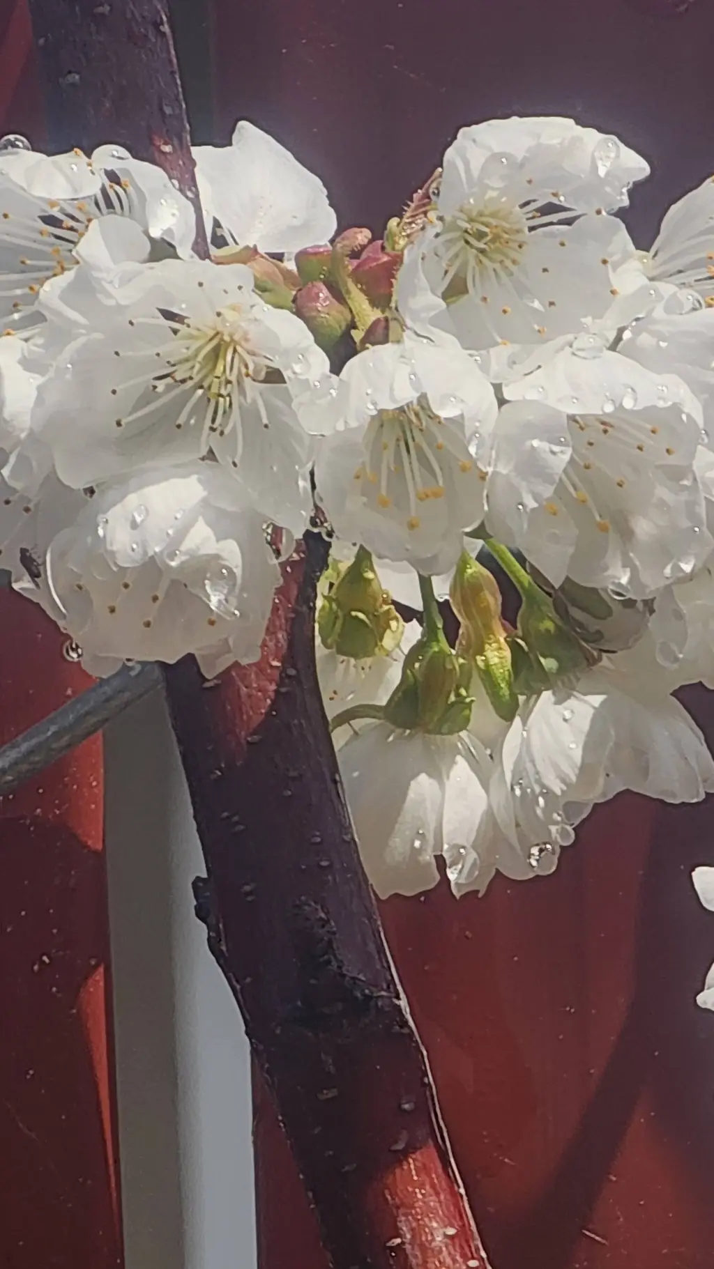 ai character: Tom M. Riddle jr background