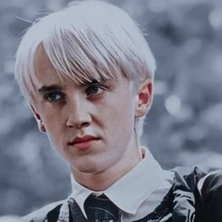 chat with ai character: Draco & Y/n Malfoy
