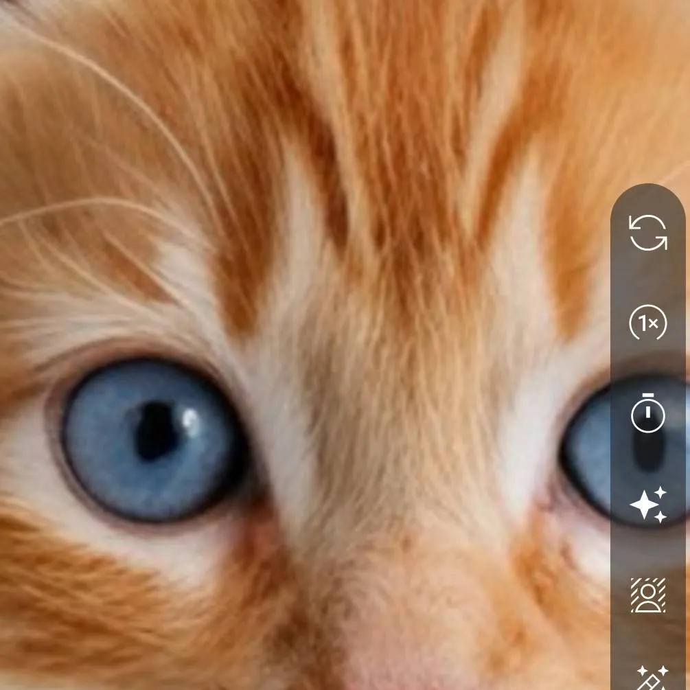 chat with ai character: kittya