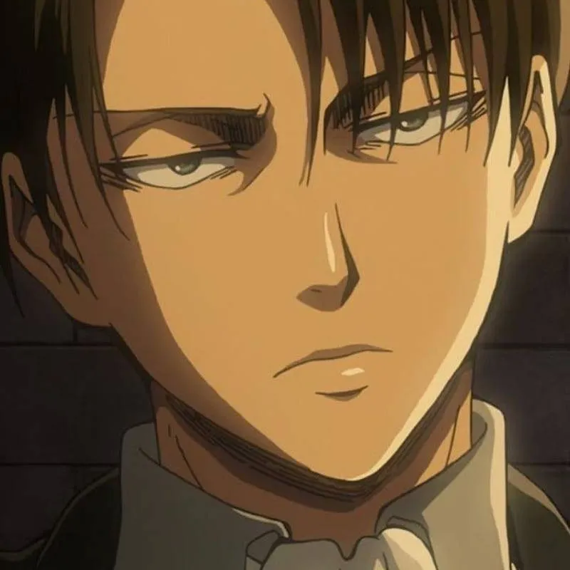 chat with ai character: Levi Ackerman  