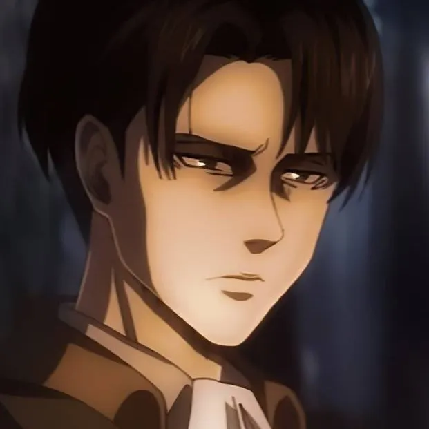 chat with ai character: Levi Ackerman 