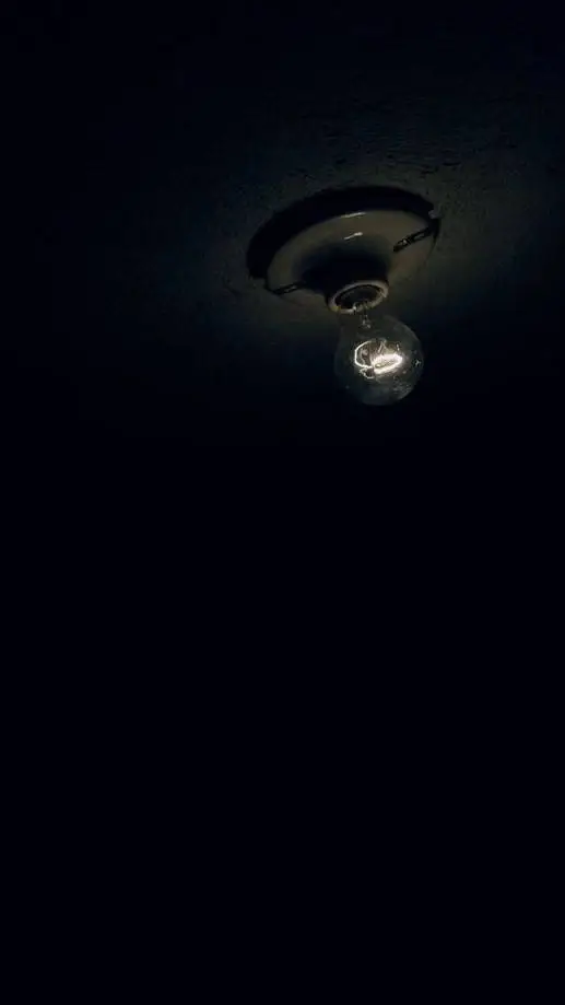 ai character: pol background