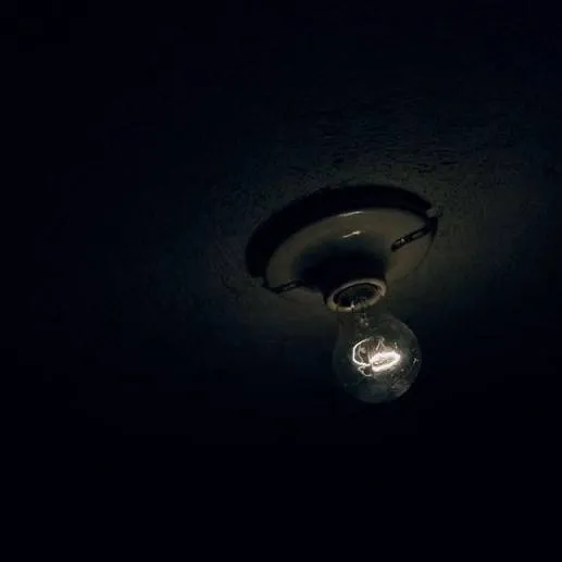 chat with ai character: pol