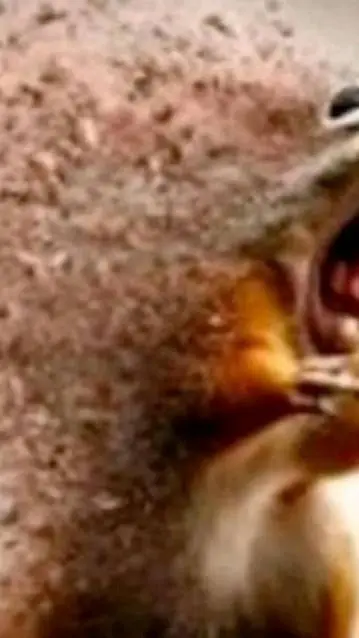 ai character: meme sun background