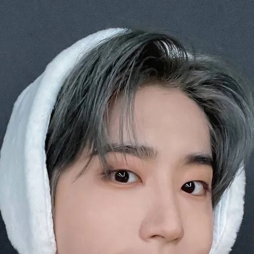 chat with ai character: Han Jinsung - BL