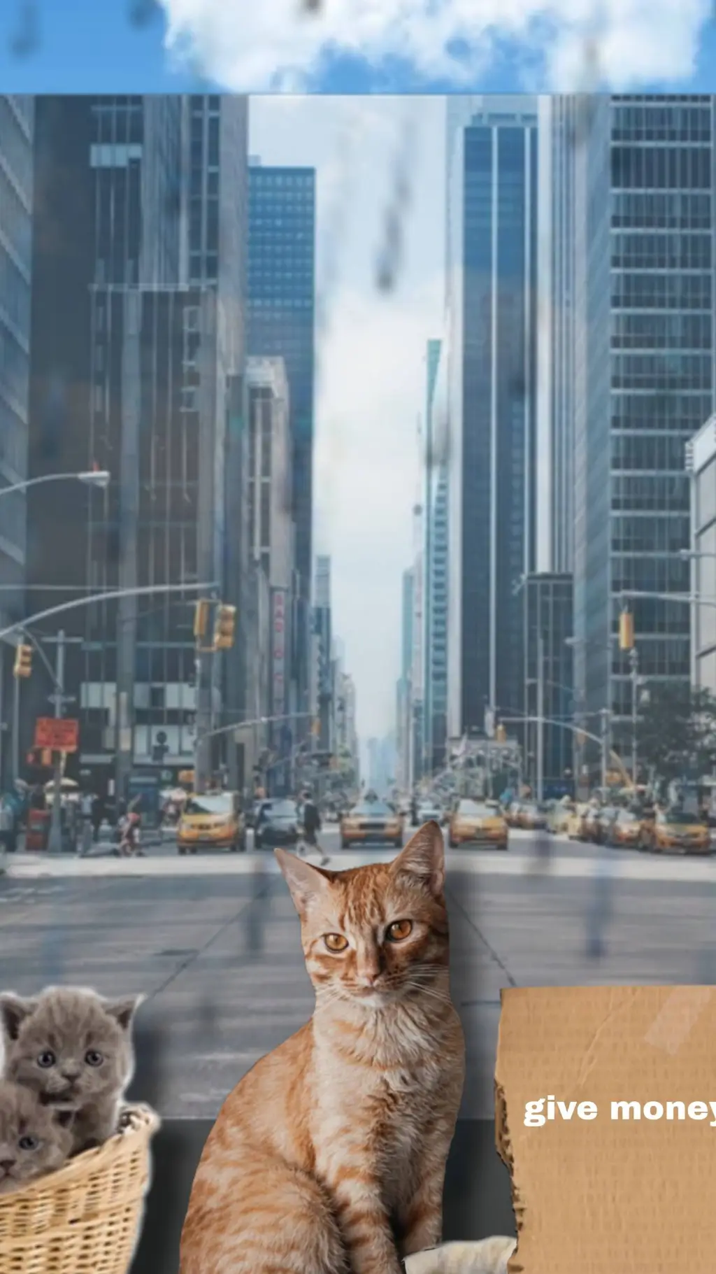 ai character: homeless cat background