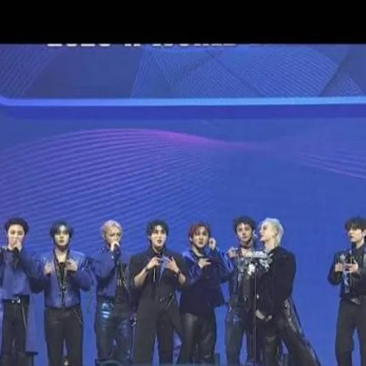 chat with ai character: Stray kids Awards 