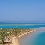 chat with ai character: Palm Beach