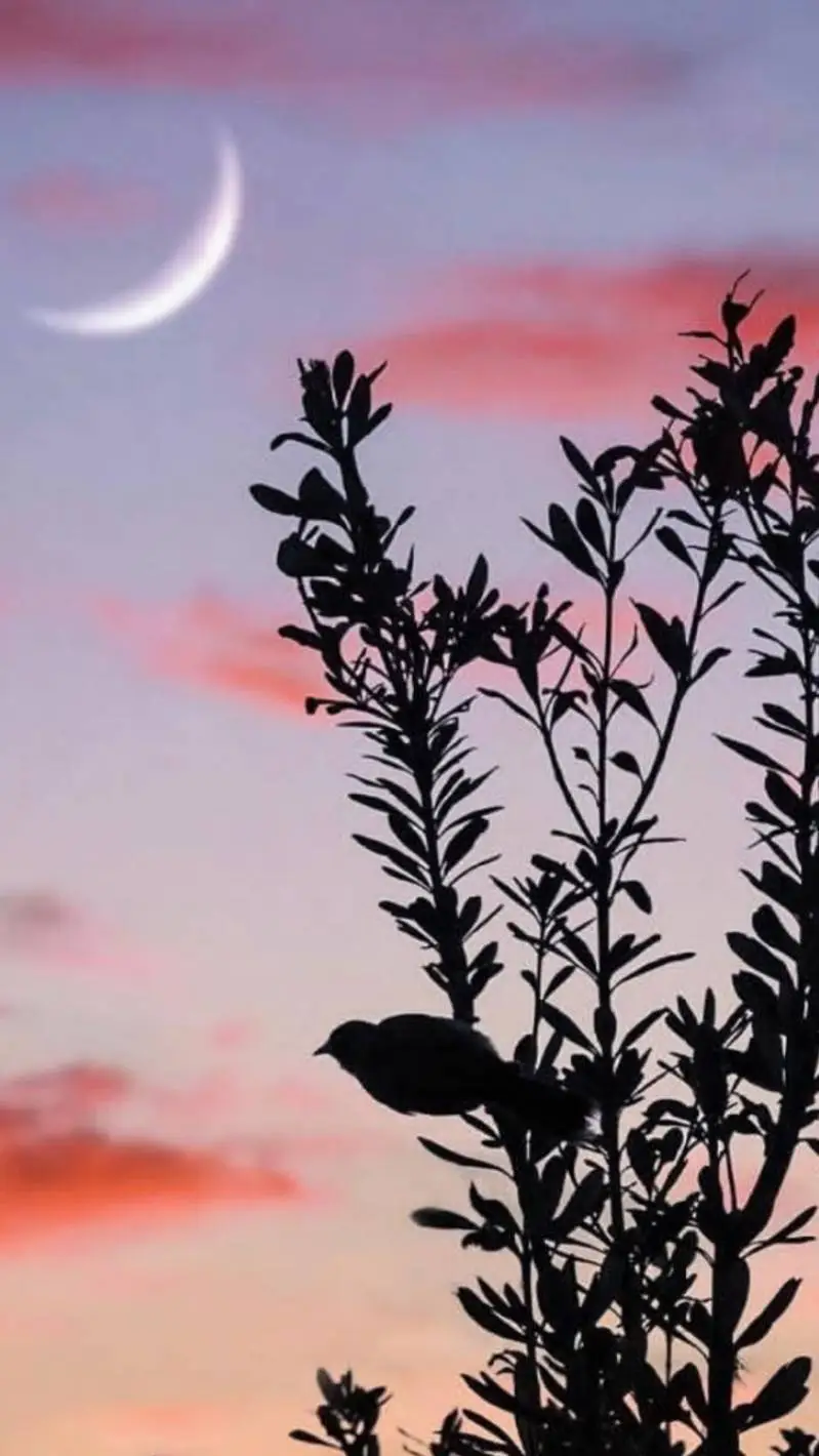 ai character: story background