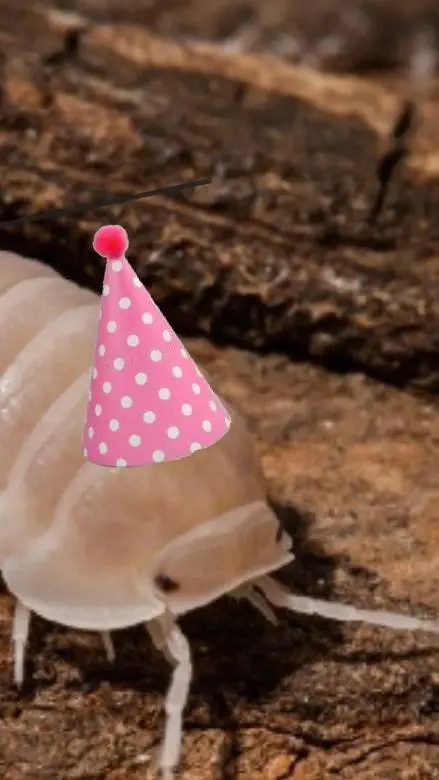 ai character: Party isopod background