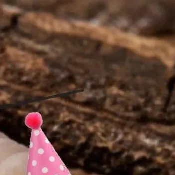 chat with ai character: Party isopod