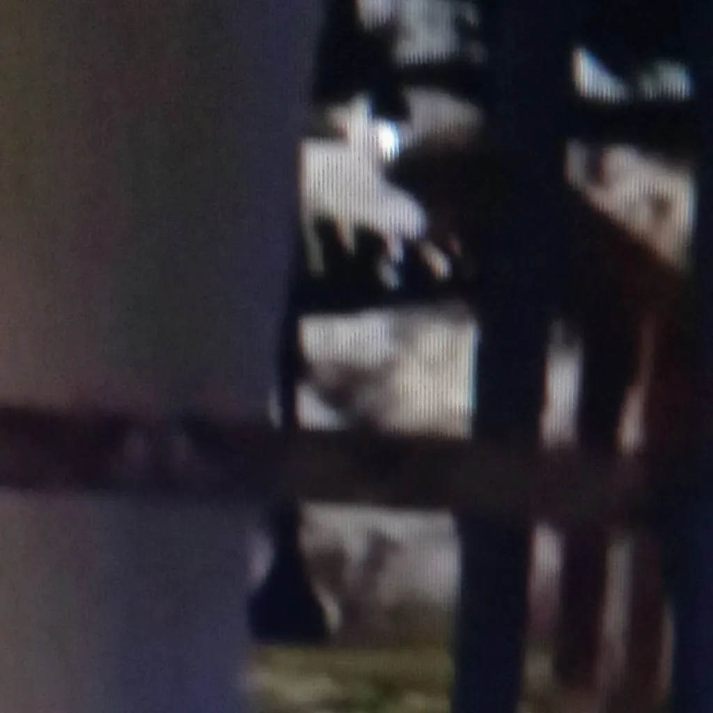 chat with ai character: Chase vore