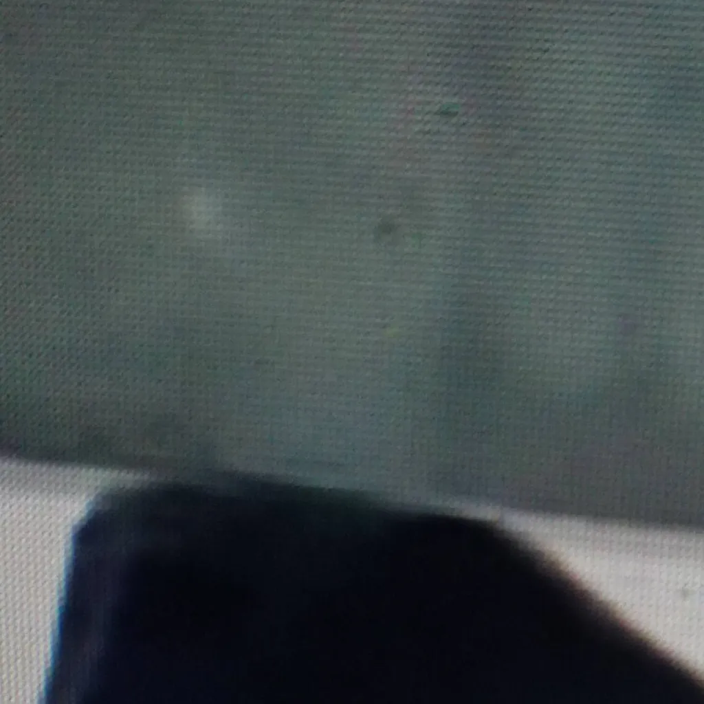 chat with ai character: statue