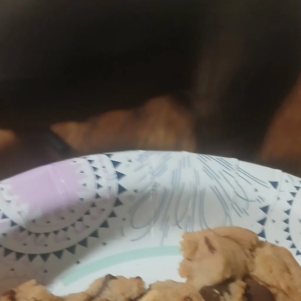 chat with ai character: Cookie