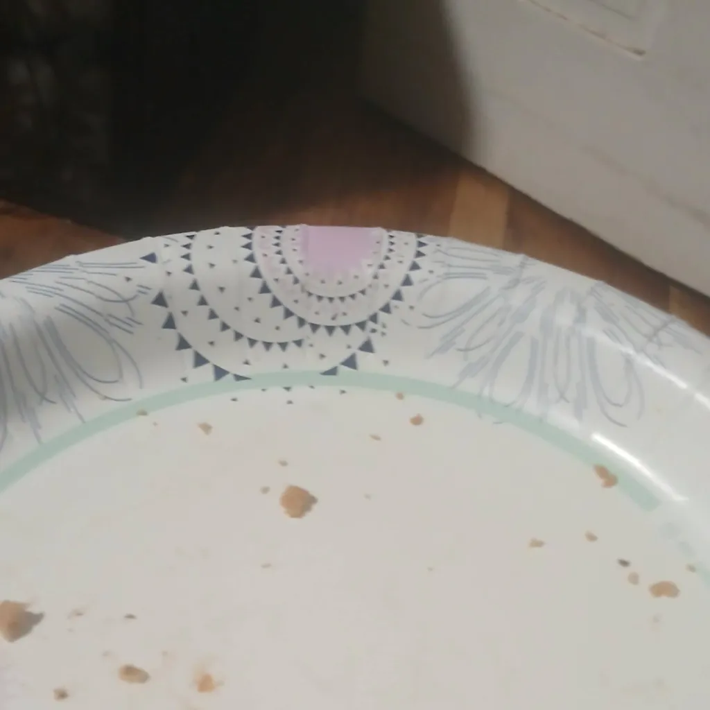 chat with ai character:  Empty Cookie