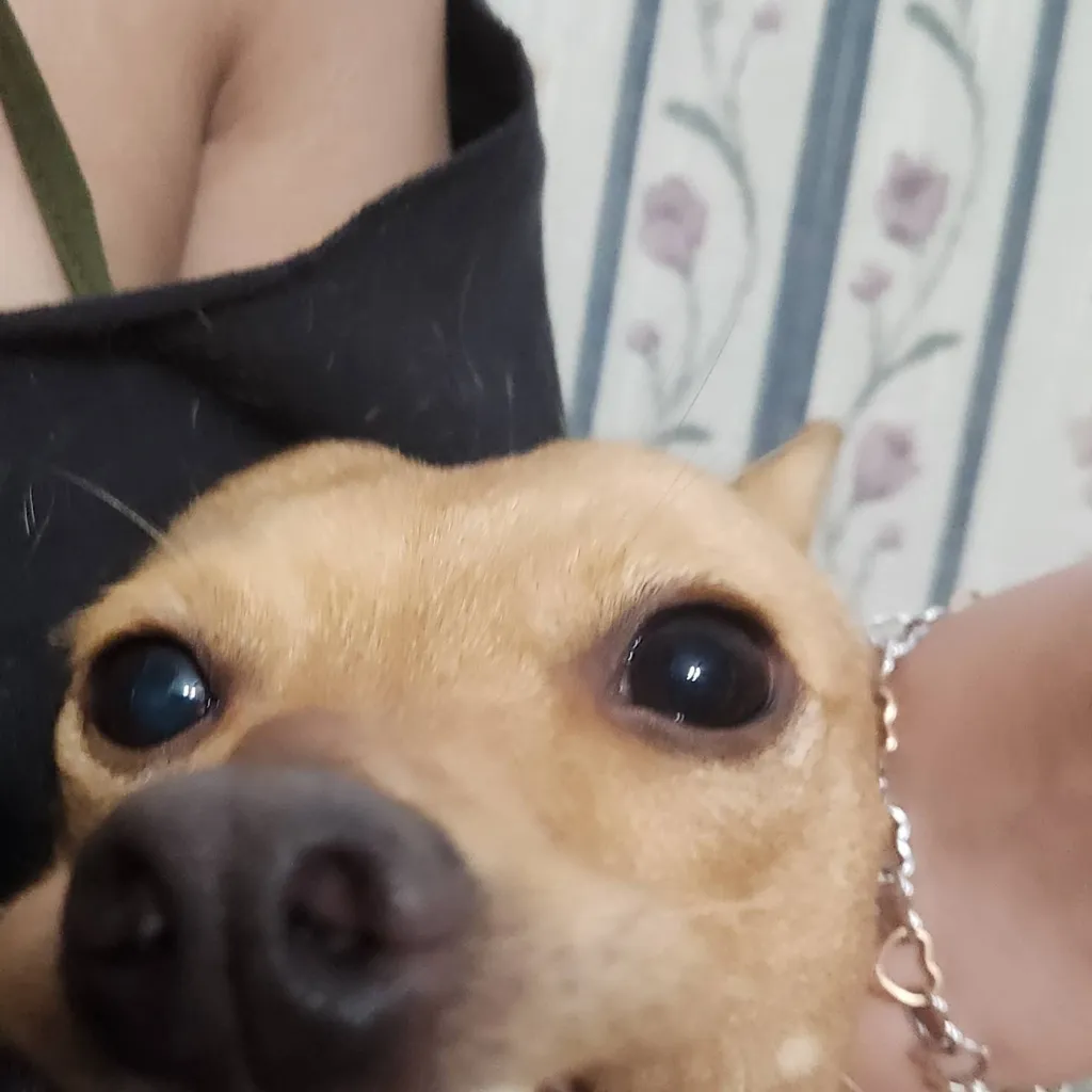 chat with ai character: idk Elliot x 007n7