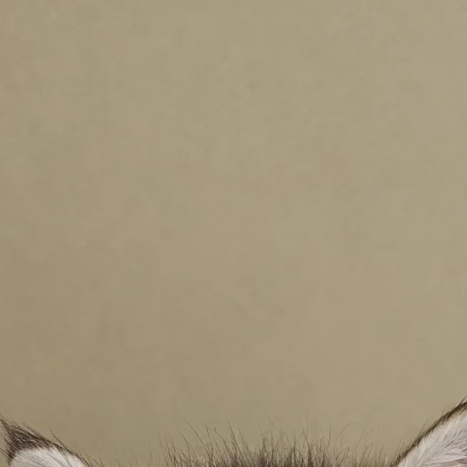 chat with ai character: the world cutest 