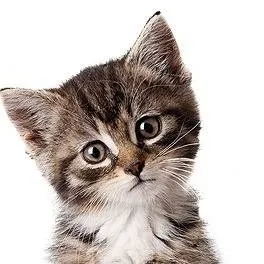 chat with ai character: Michi