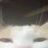 chat with ai character: crk