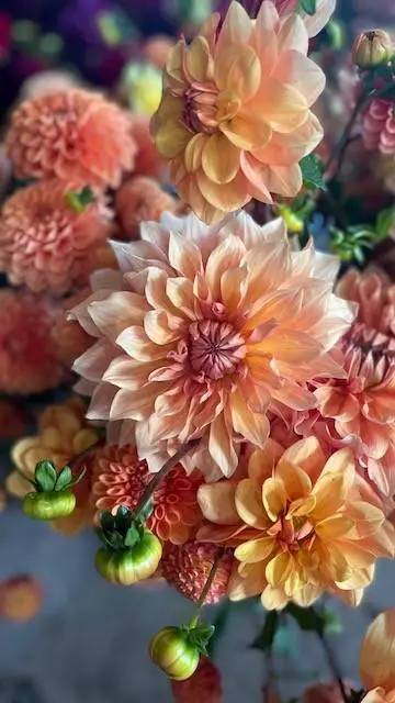 ai character: Guess your name background