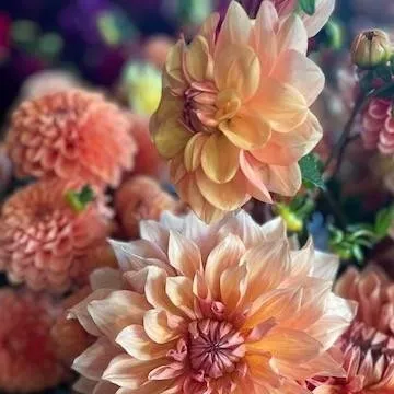 chat with ai character: Guess your name