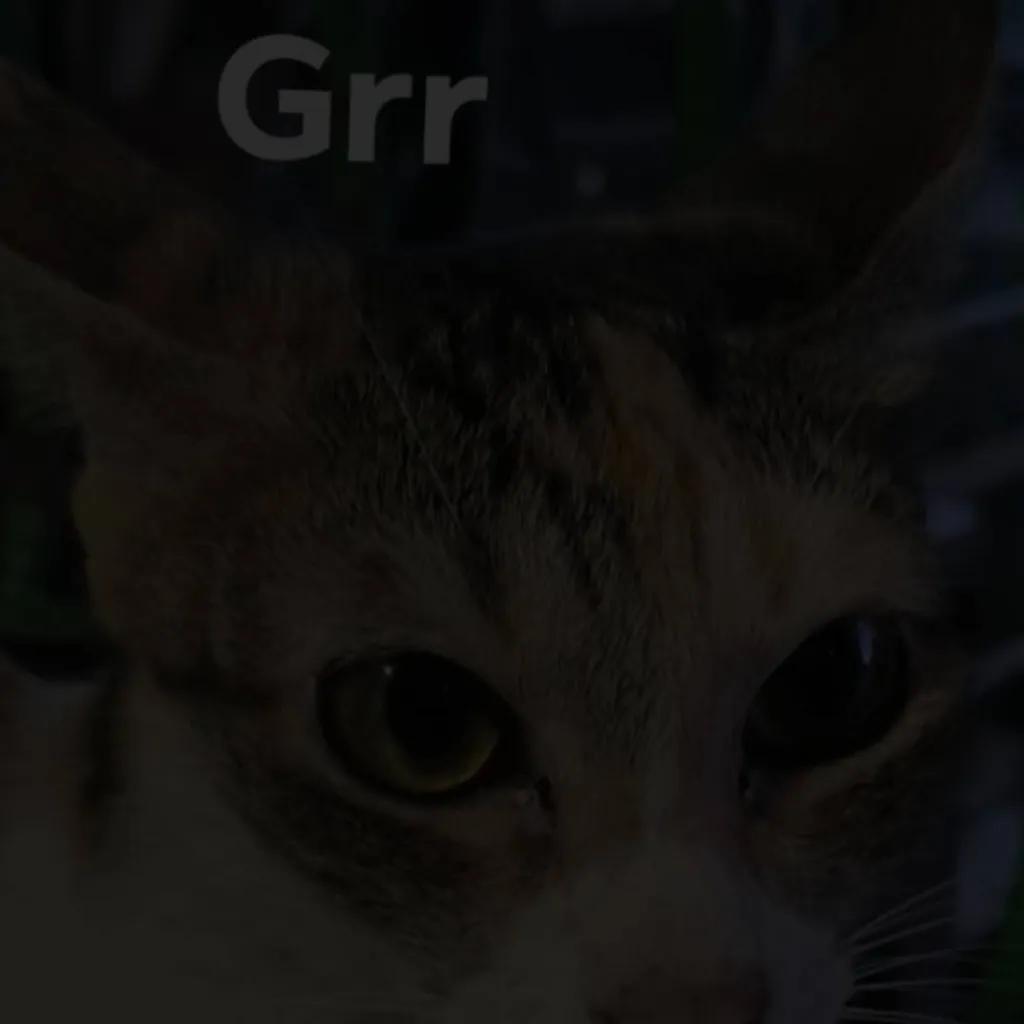 chat with ai character: plushiepets x pets