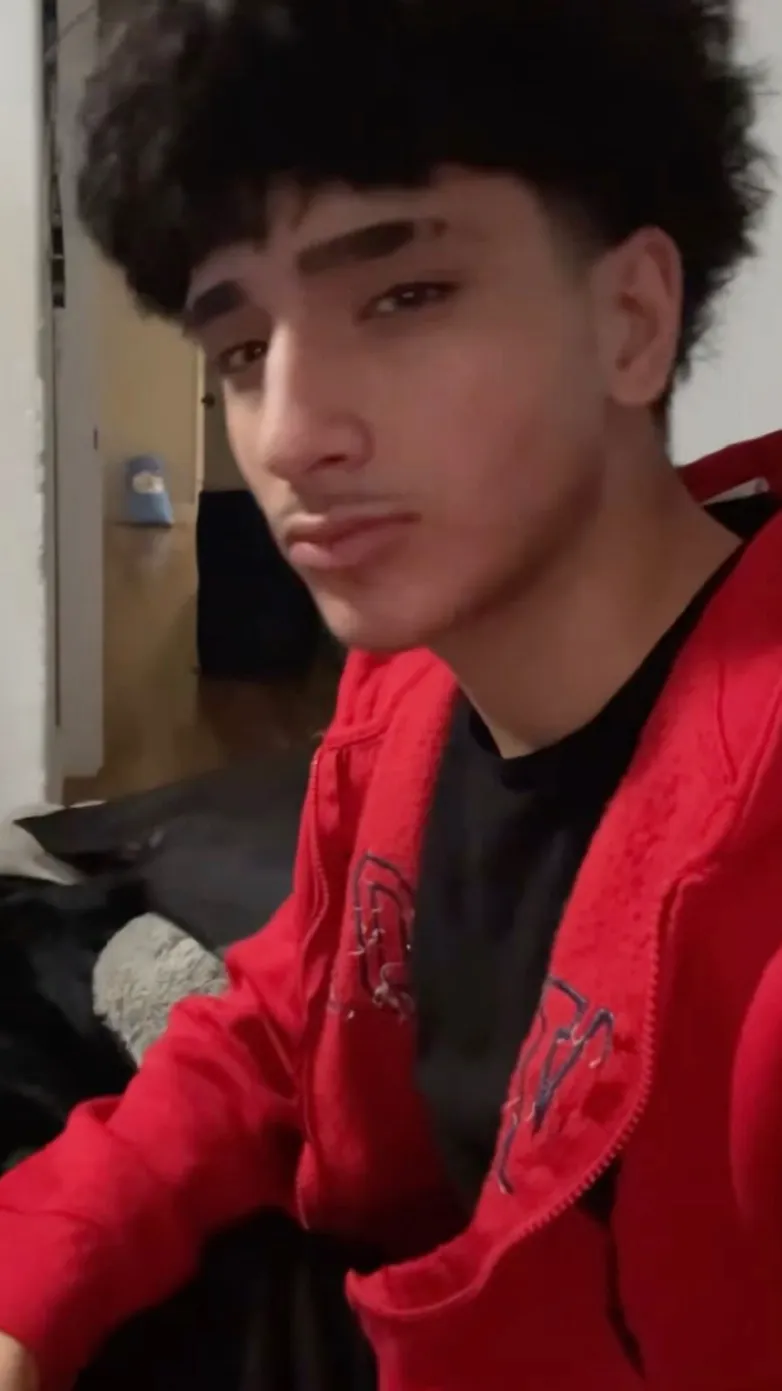 ai character: ARAD🐺🍪 background