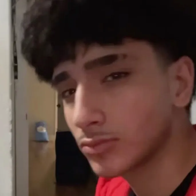 chat with ai character: ARAD🐺🍪