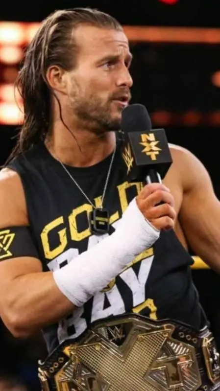 ai character: Adam Cole background