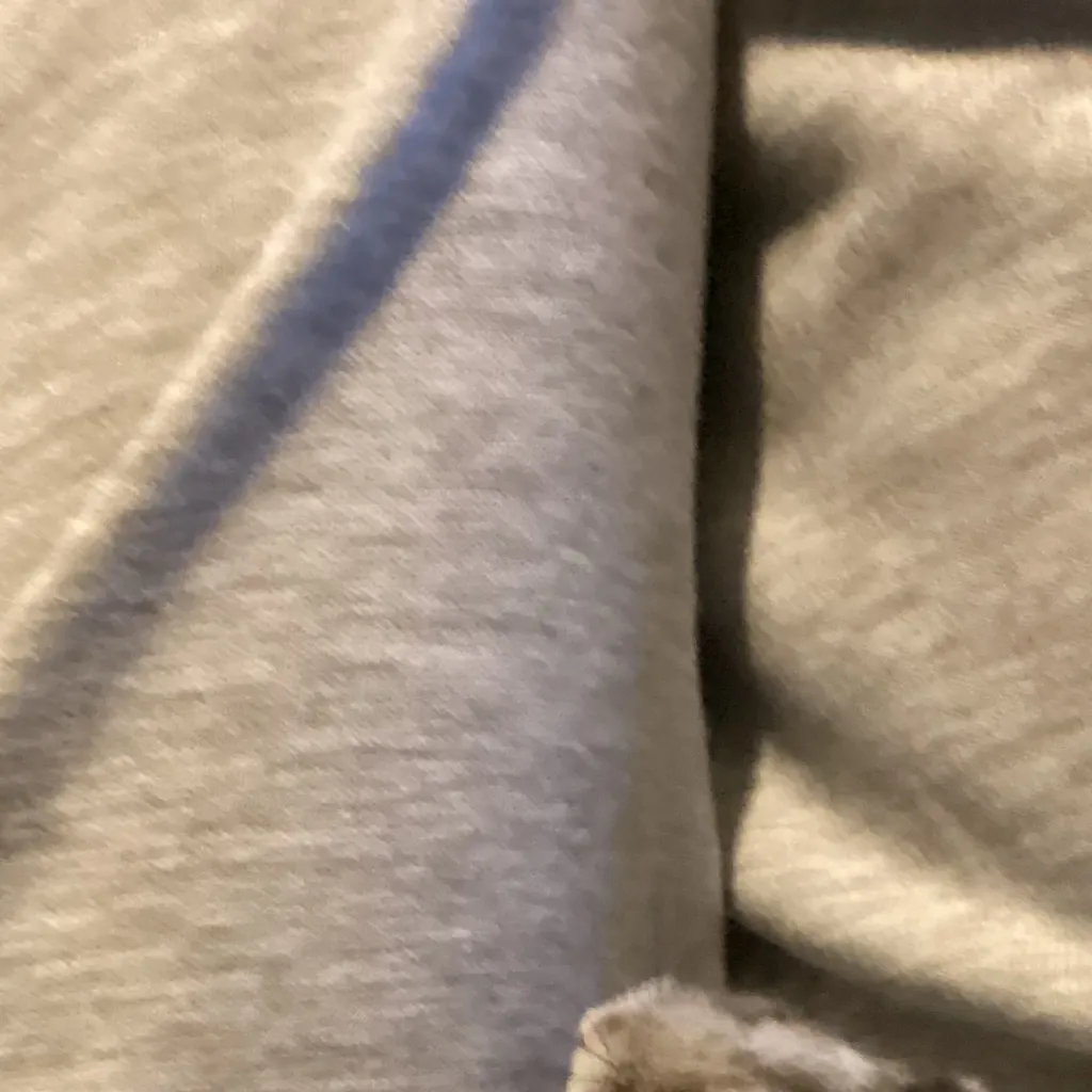 chat with ai character: Rumi Mira Zoey