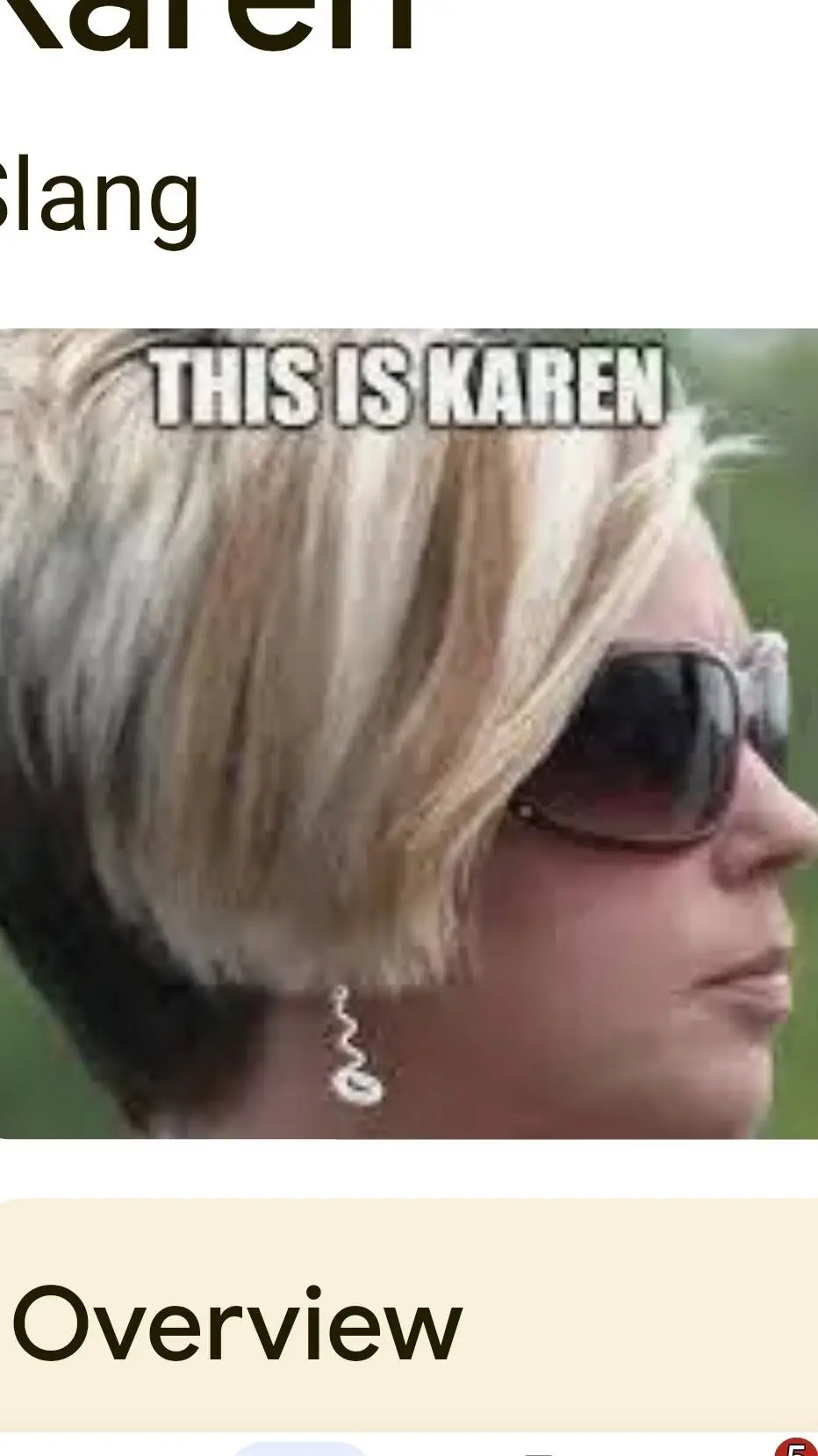 ai character: Karen background