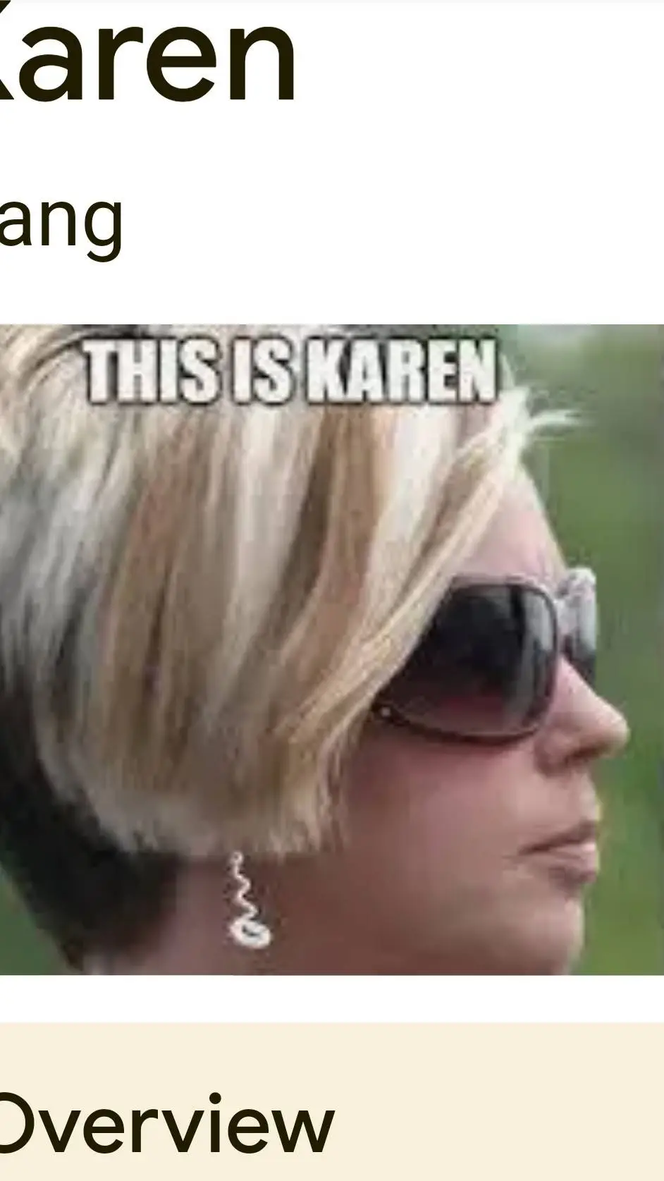 ai character: Spy  Karan background