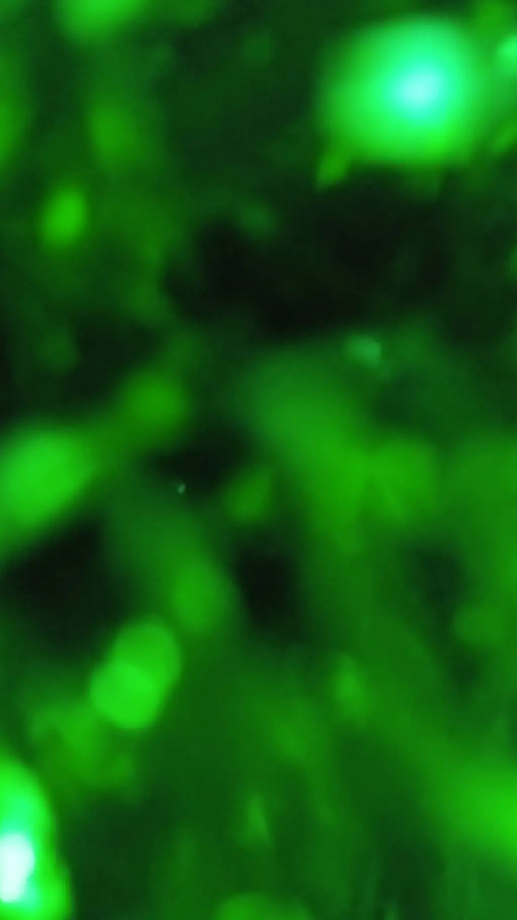 ai character: Ben 10 background