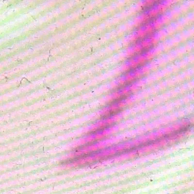 chat with ai character: Your own story